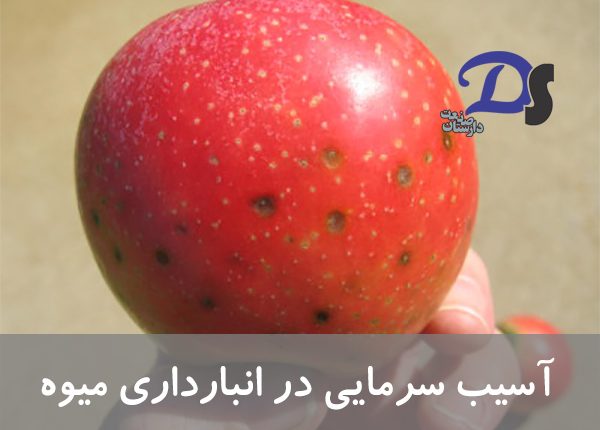 آسیب دمایی در انبارداری میوه