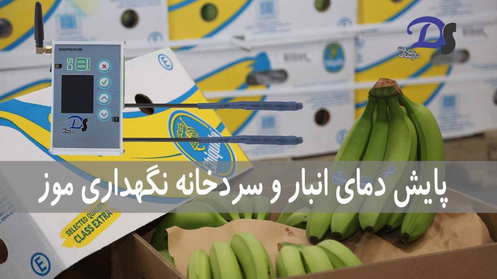 دمای انبار موز